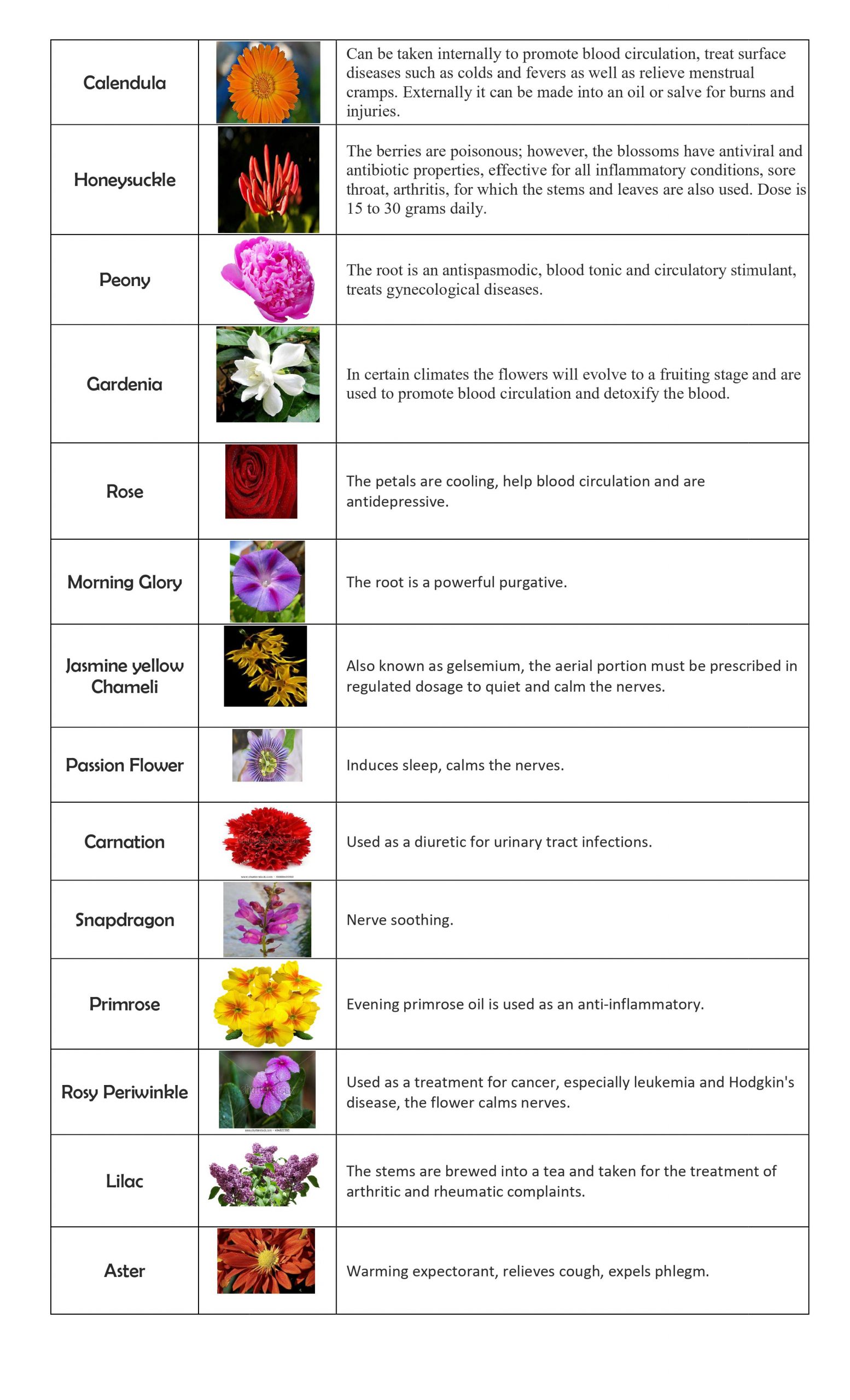Flower Plants their Medicinal Use_table1