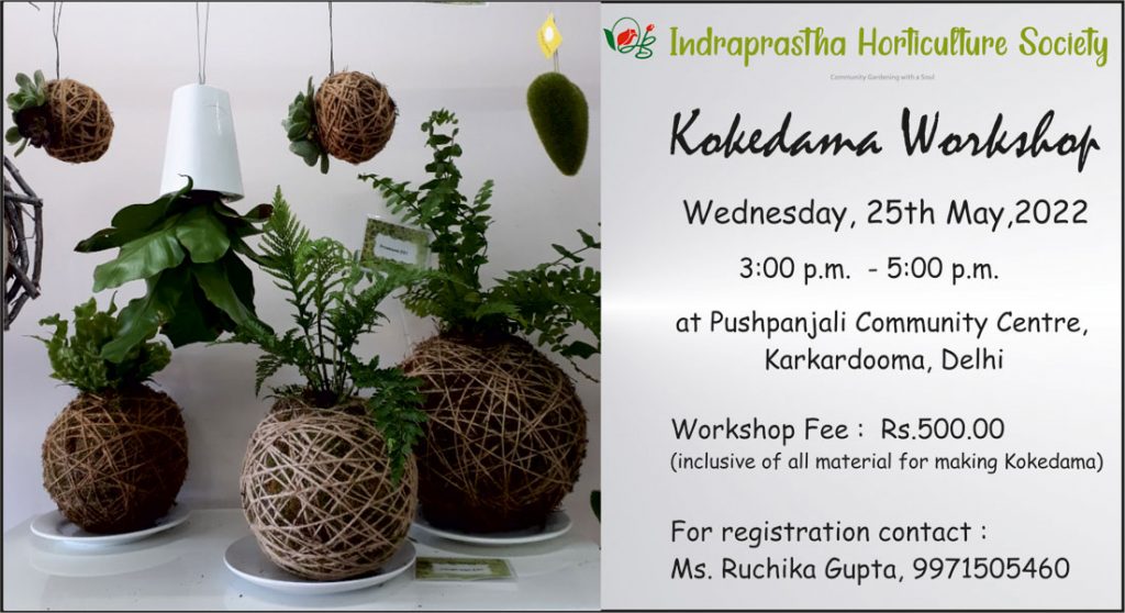 Indraprastha Horticulture Society – Community Gardening with a Soul