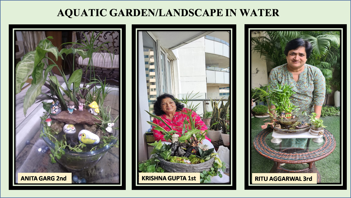 Indraprastha Horticulture Society – Community Gardening with a Soul