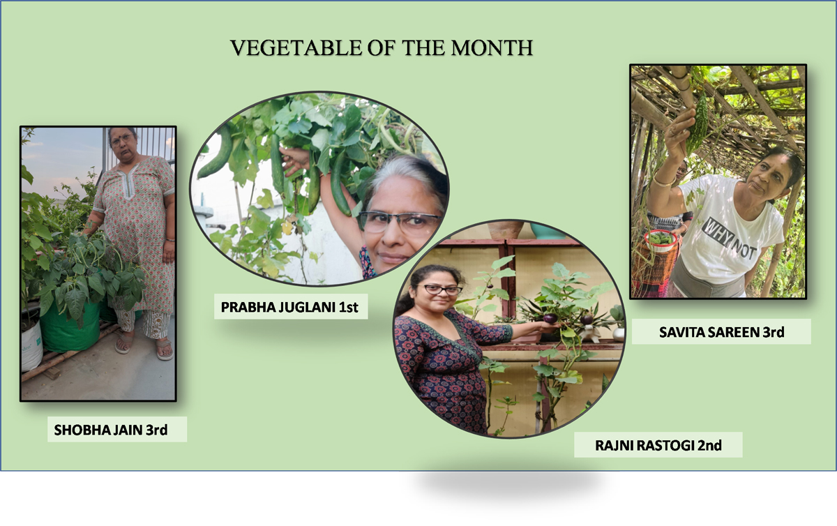 Indraprastha Horticulture Society – Community Gardening with a Soul