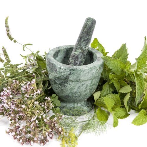 Herbs that Heal-I
