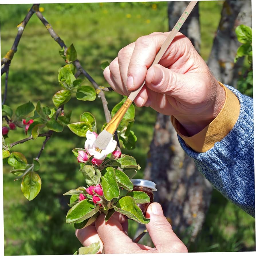 The Magic of Manual Pollination: Helping Nature Along